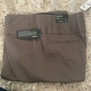 NWT Express Editor Flare pant
